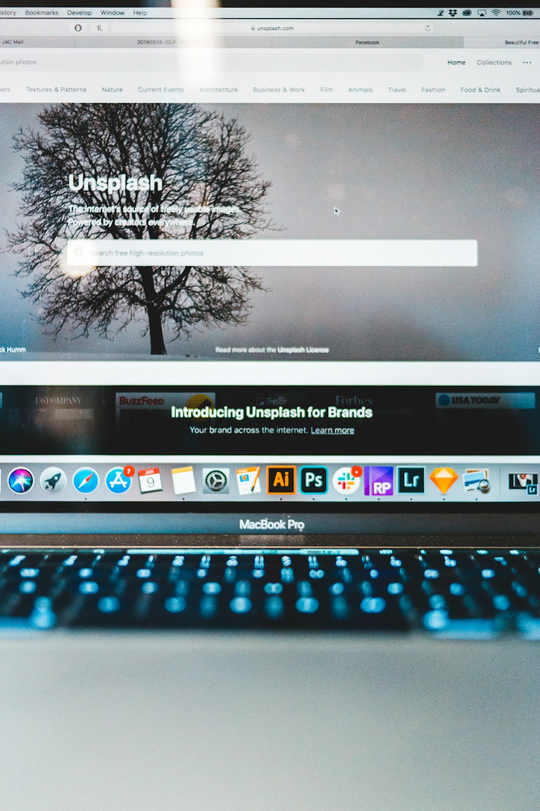 turned-on MacBook Pro wordpress membership plugin dashboard dashboard tools wordpress settings - AI Bud