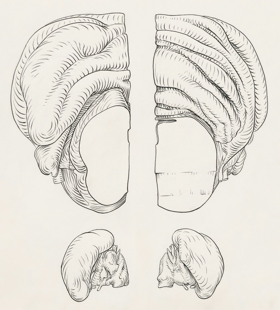 a black and white drawing of a human head headless cms omnichannel content delivery - AI Bud