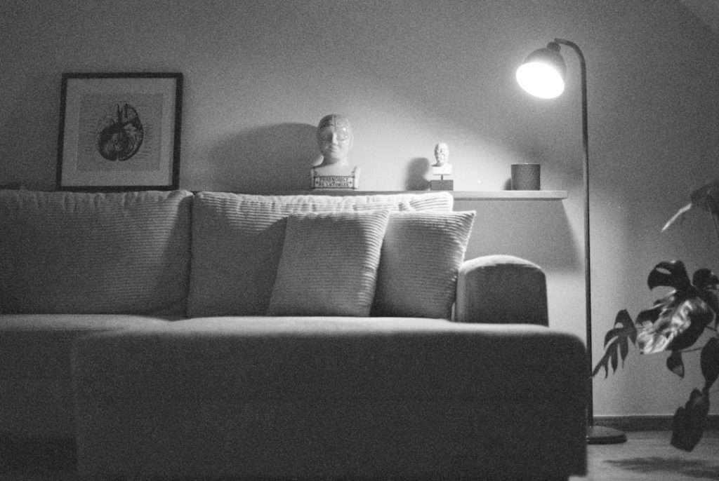 Living room scene with a sofa, three cushions, a shelf above displaying bust sculptures, a bright floor lamp, and a potted plant to the right.