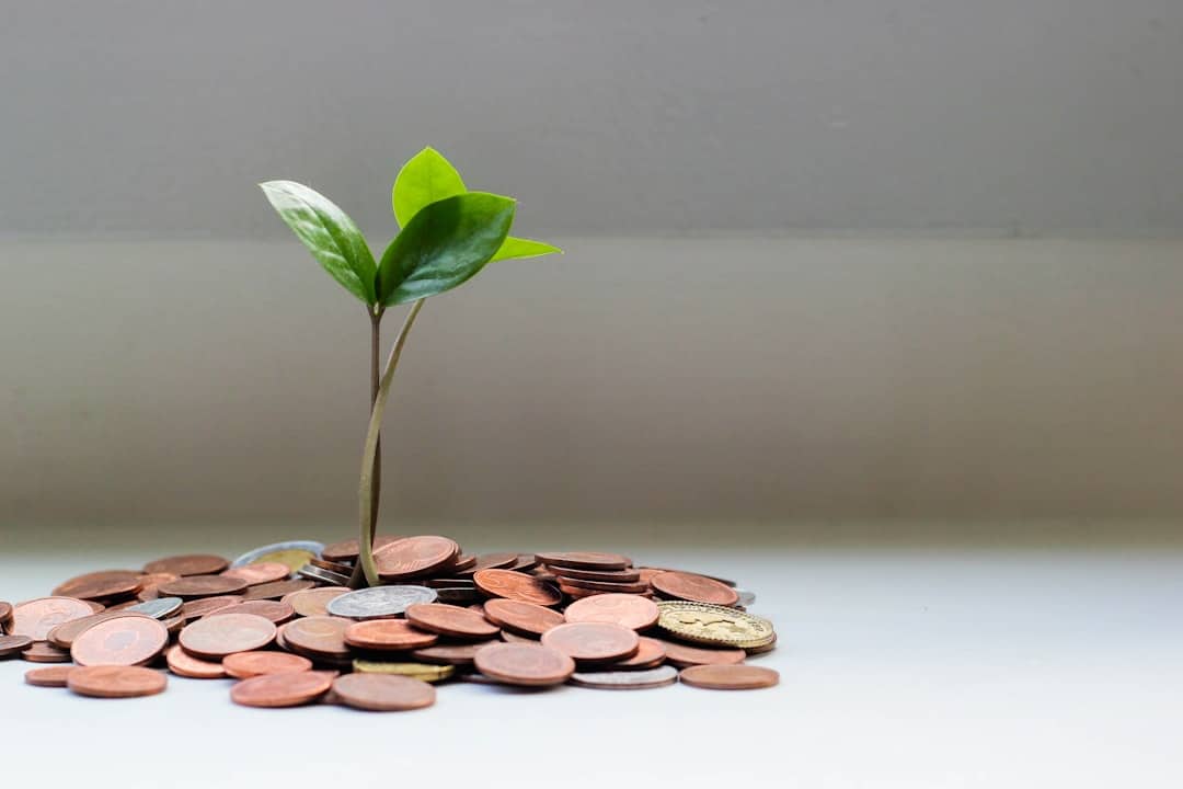 green plant on brown round coins money saving ecommerce growth ai tools - AI Bud