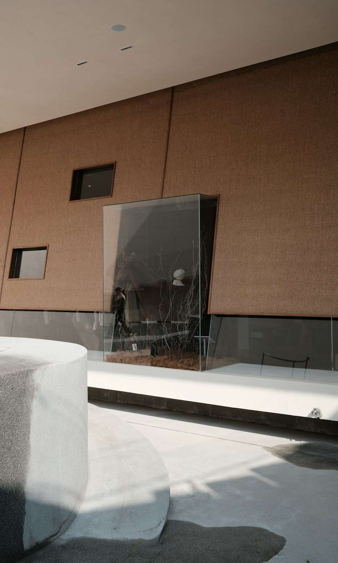 Modern interior atrium with a brown textured wall, a tilted glass display case, and a curved white seating area at the bottom edge.