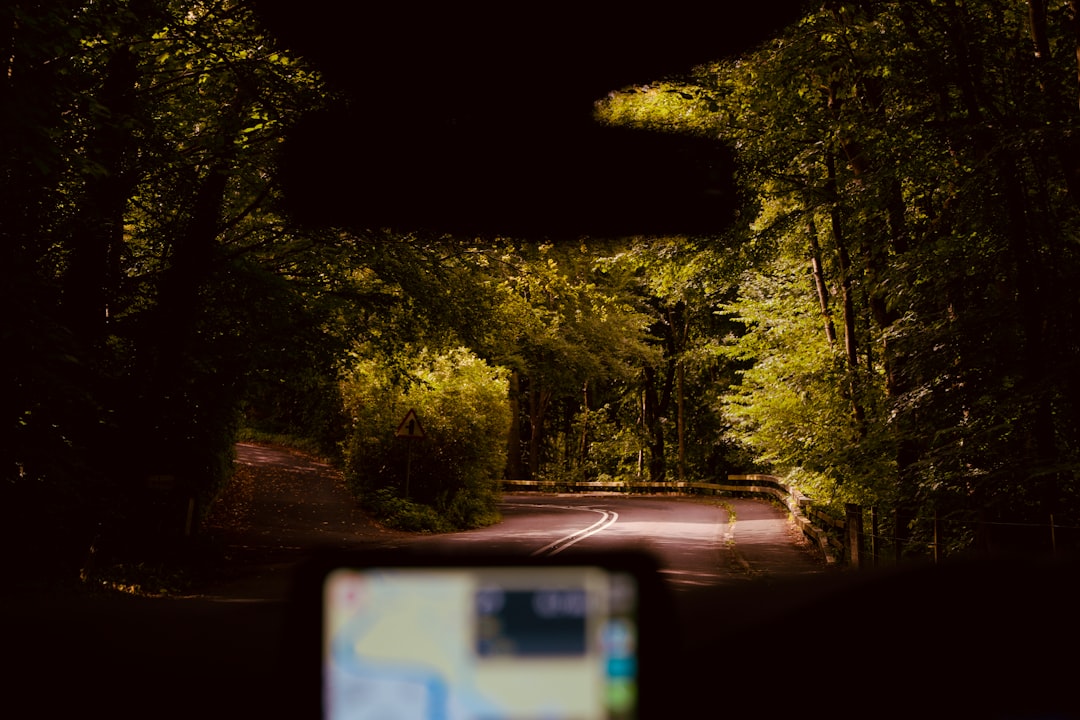 Winding forest road seen from inside a car, with dense trees on both sides and a blurred GPS screen in the foreground.