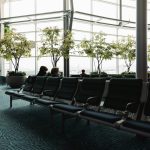 Row of green airport seating in a bright atrium with potted trees and large glass walls used for passengers waiting areas
