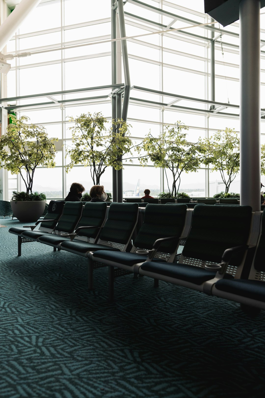 Row of green airport seating in a bright atrium with potted trees and large glass walls used for passengers waiting areas