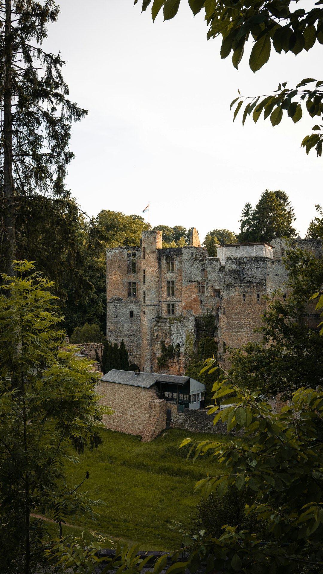 Ruined stone castle with a flag atop, nestled among trees and greenery under a pale sky, viewed from a lush garden.