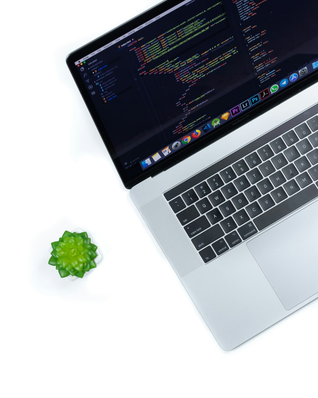 Top-down view of a silver laptop displaying colorful code on the screen with a small green succulent plant nearby on a white surface
