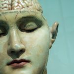 Close-up of a statue head showing an exposed brain with etched German labels across the forehead.