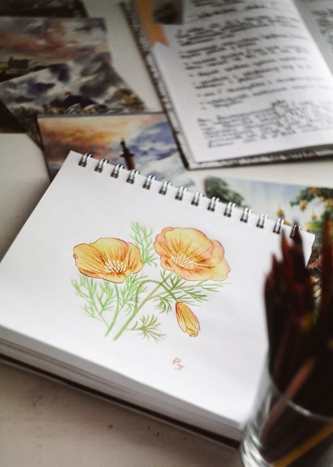 Watercolor illustration of orange poppies with green stems in a spiral notebook on a desk